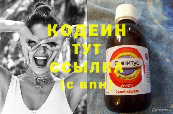 индика Балахна