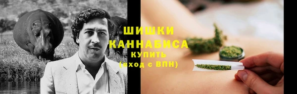 индика Балахна