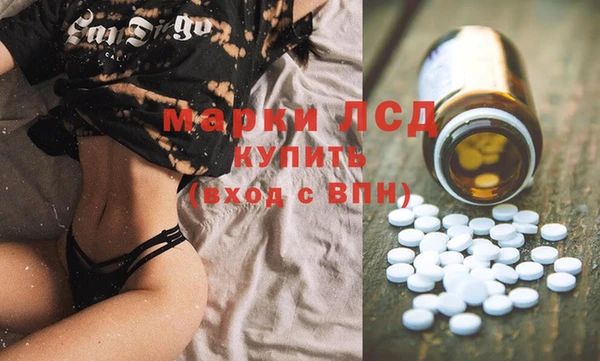 индика Балахна