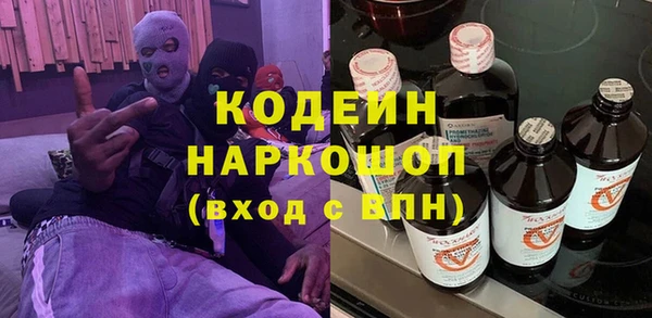 индика Балахна