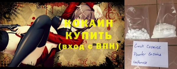 индика Балахна