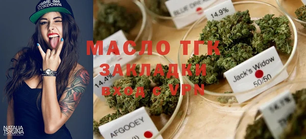 индика Балахна