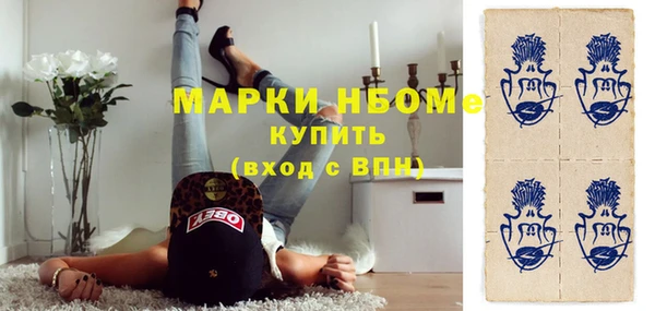 индика Балахна